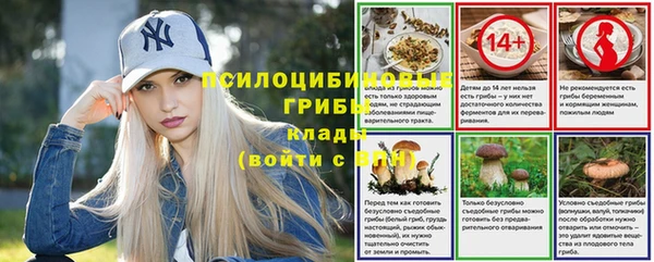 СК Алексеевка